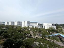 Blk 893 Tampines Avenue 8 (Tampines), HDB Executive #599706101